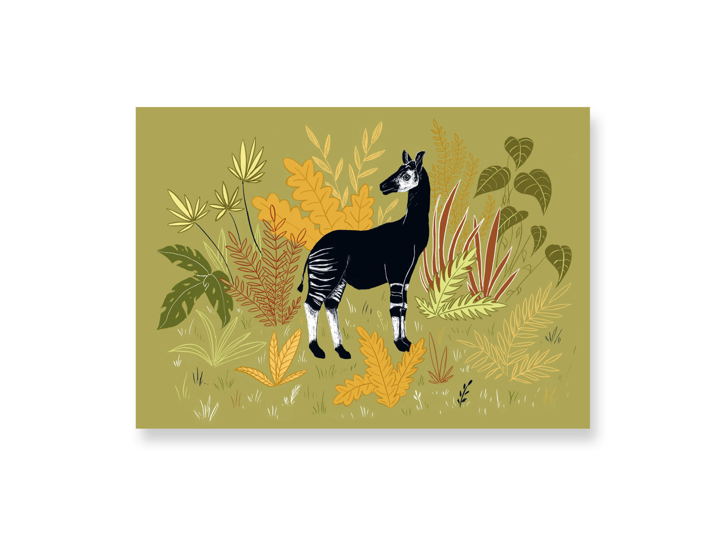 Poster Okapi A4