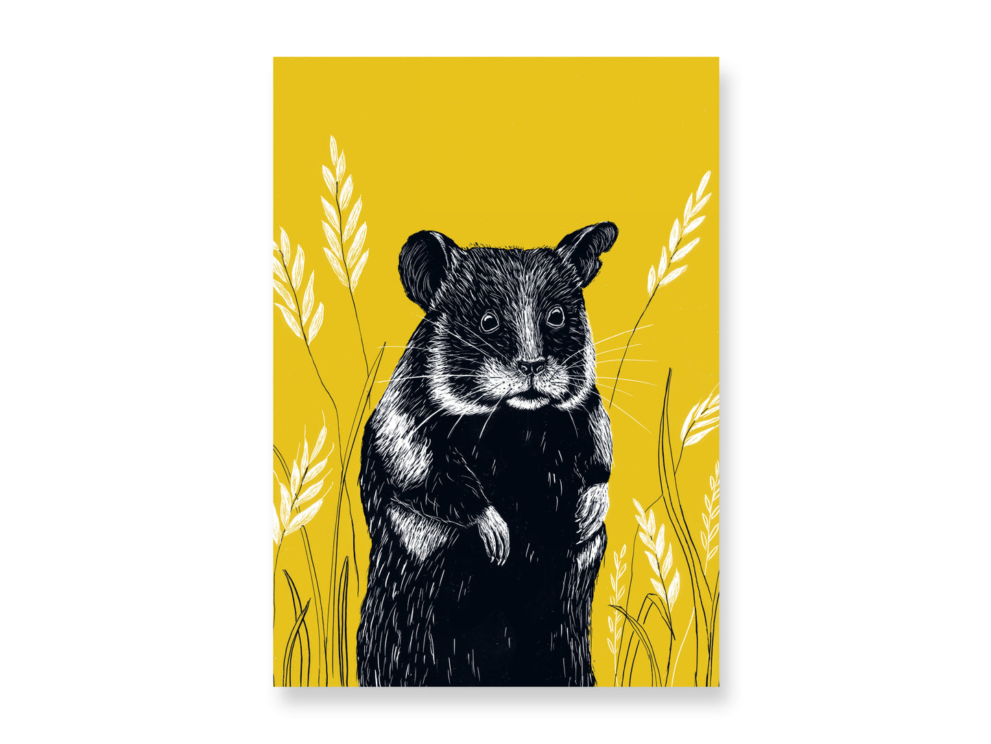 Poster Hamster A4