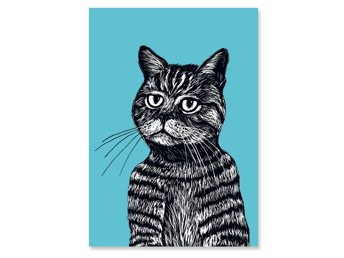 A4 Poster Katze