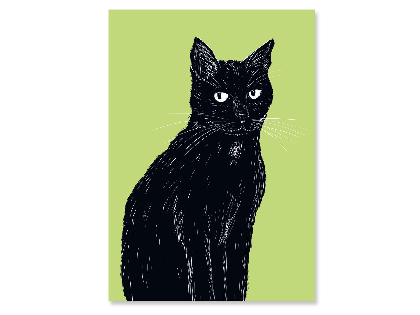 Poster Katze im A4 Format