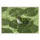 A4 Poster Frosch