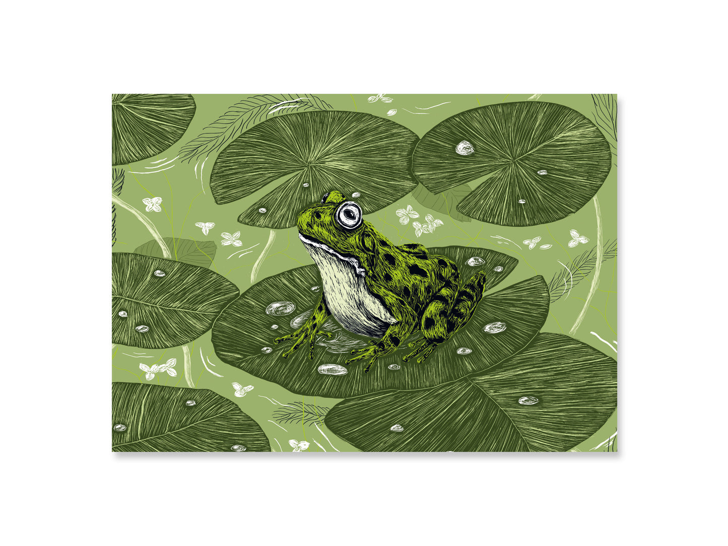 A4 Poster Frosch