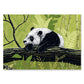 A4 Poster Panda