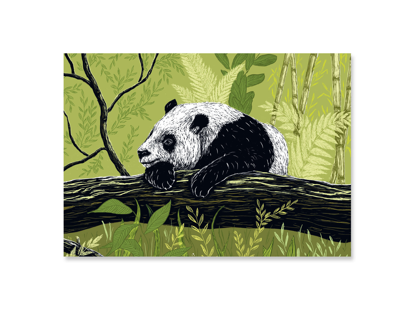 A4 Poster Panda
