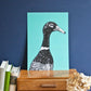 A4 Poster Laufente