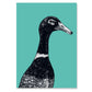 A4 Poster Laufente