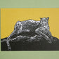 Postkarte A6 Gepard 