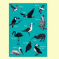 Poster A4 Vögel