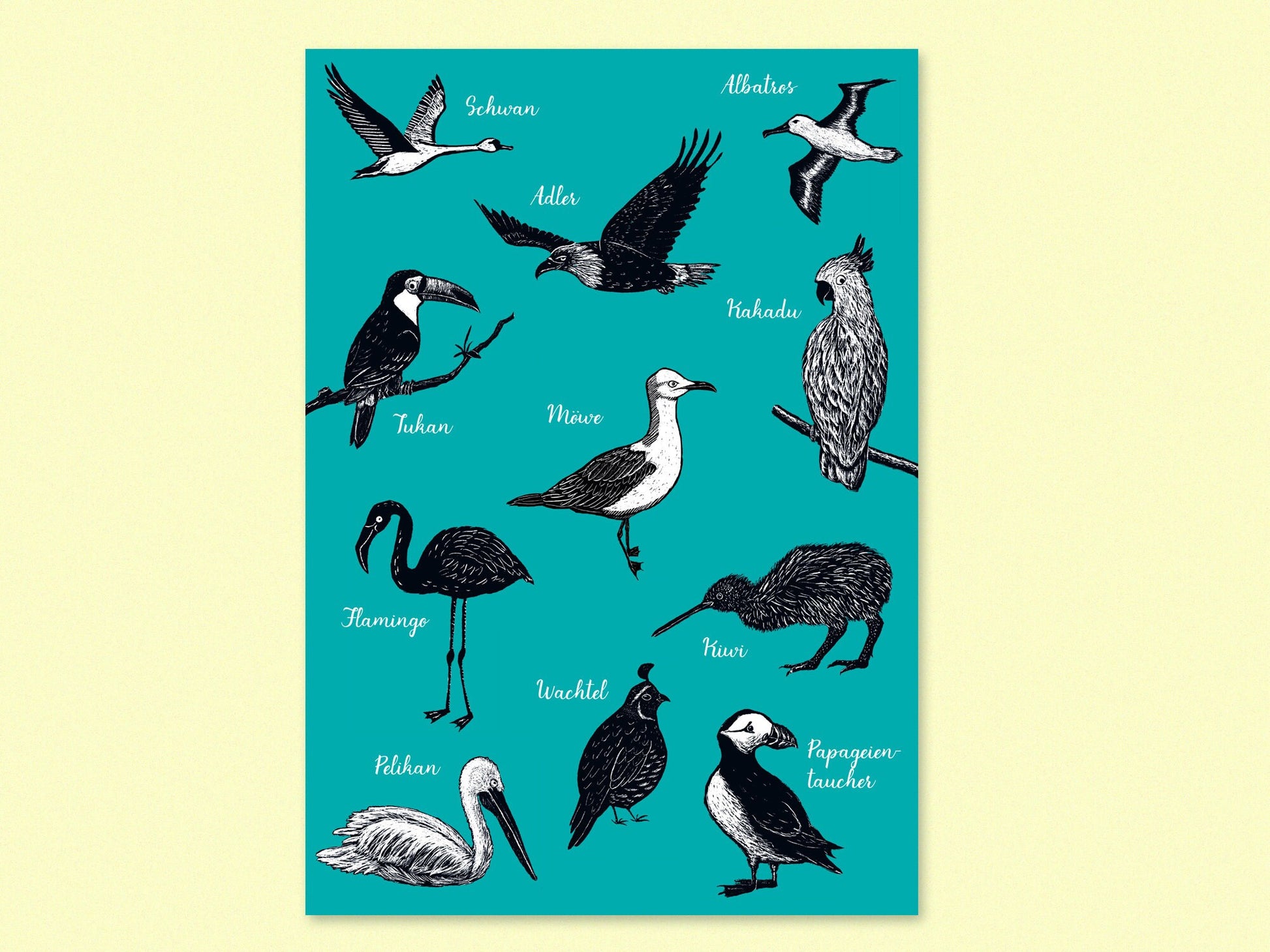 Poster A4 Vögel
