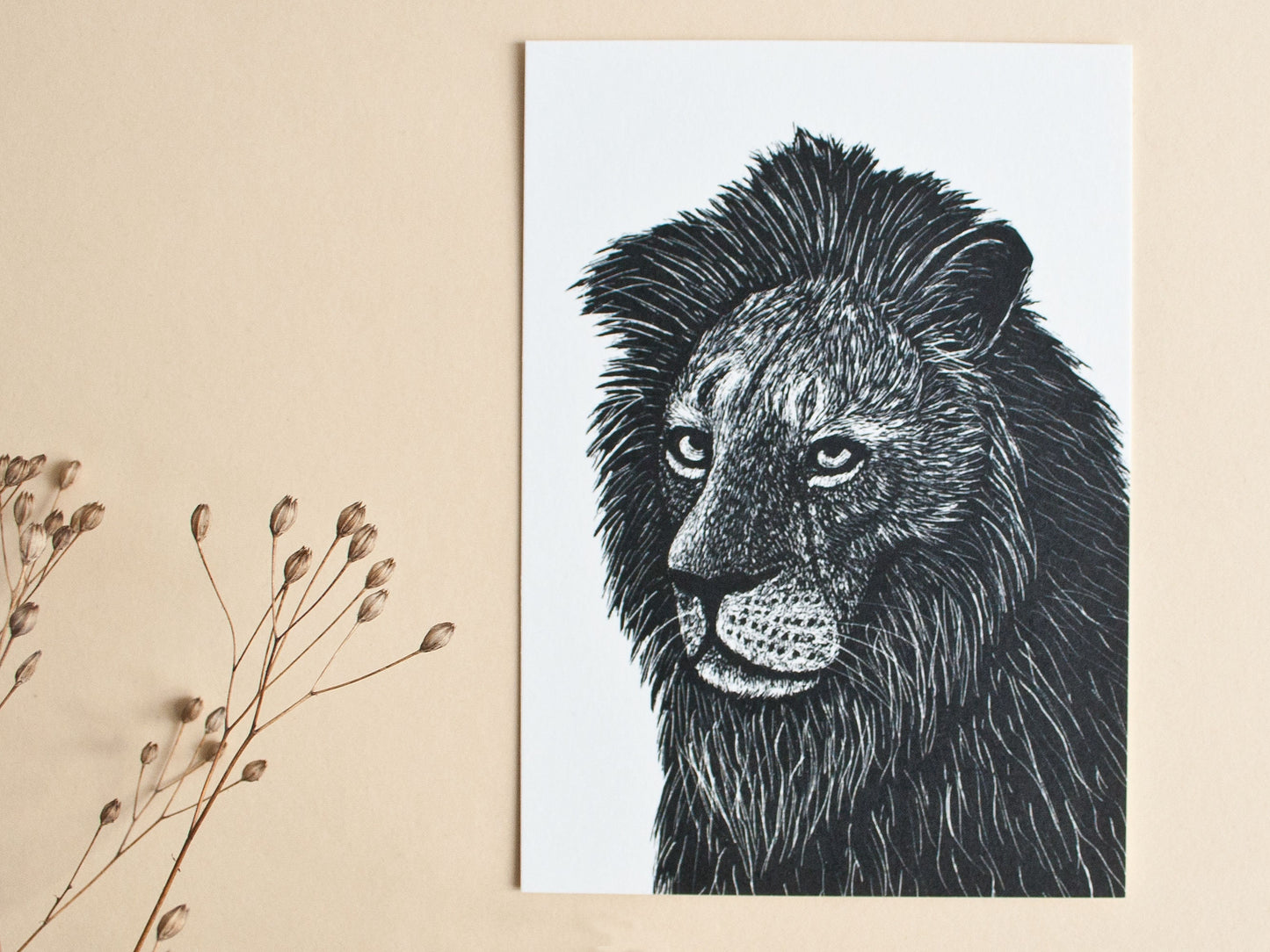 Postkarte A6 Löwe