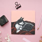 Quadratische Postkarte Katze auf Decke