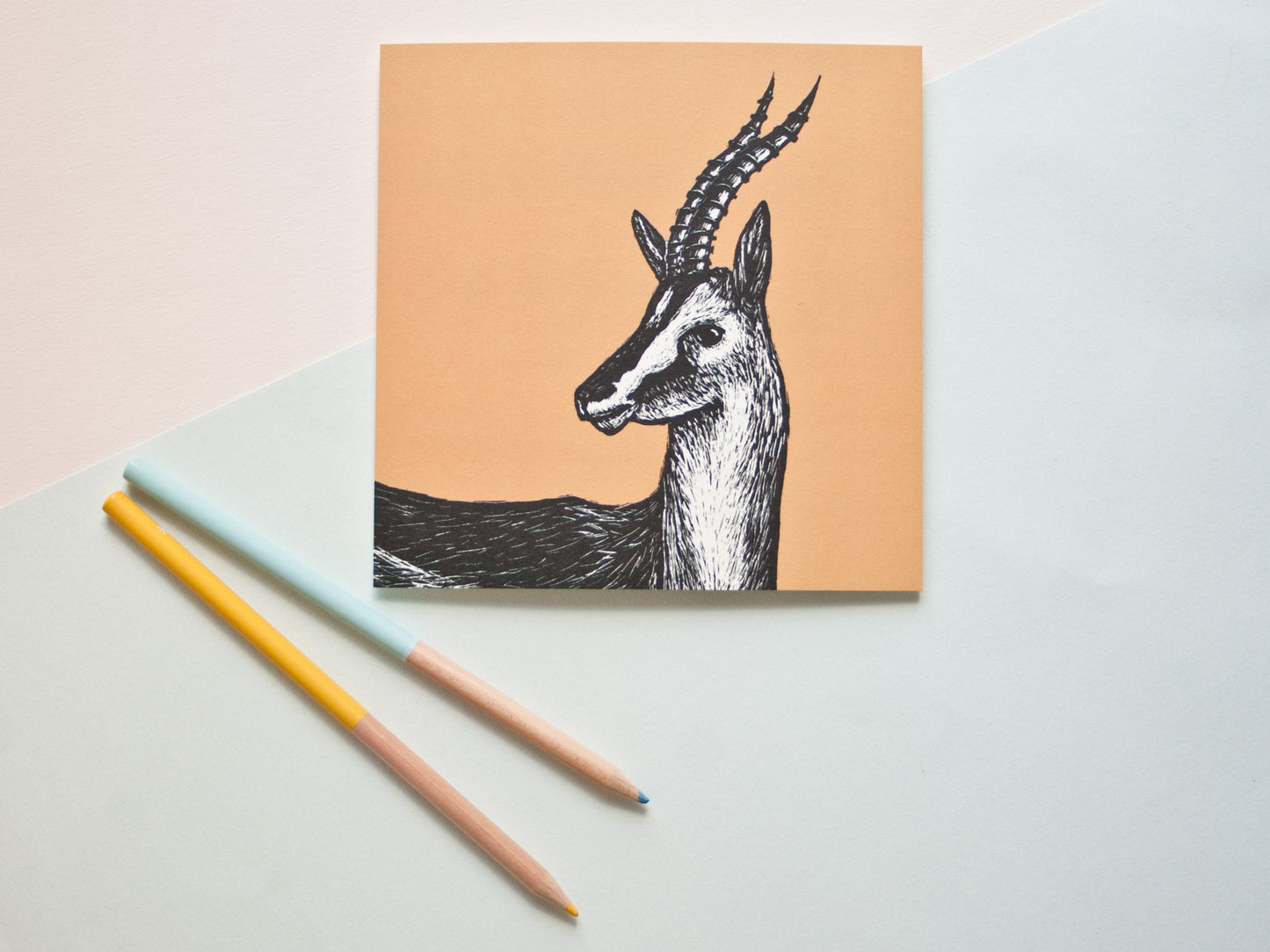 Quadratische Postkarte Gazelle